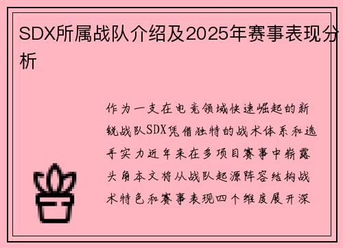 SDX所属战队介绍及2025年赛事表现分析